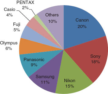 Figure 6 Worldwide share of the digital camera in 2010 (Source: Nikkei).