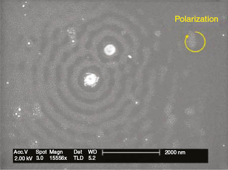 Figure 11: SEM image of the silicon surface after laser irradiation. The circularly polarized femtosecond laser at 400 nm was irradiated at 0.08 J/cm2. The two white circles are the 200-nm-diameter gold spheres. The interference period is 400 nm approximately [55].
