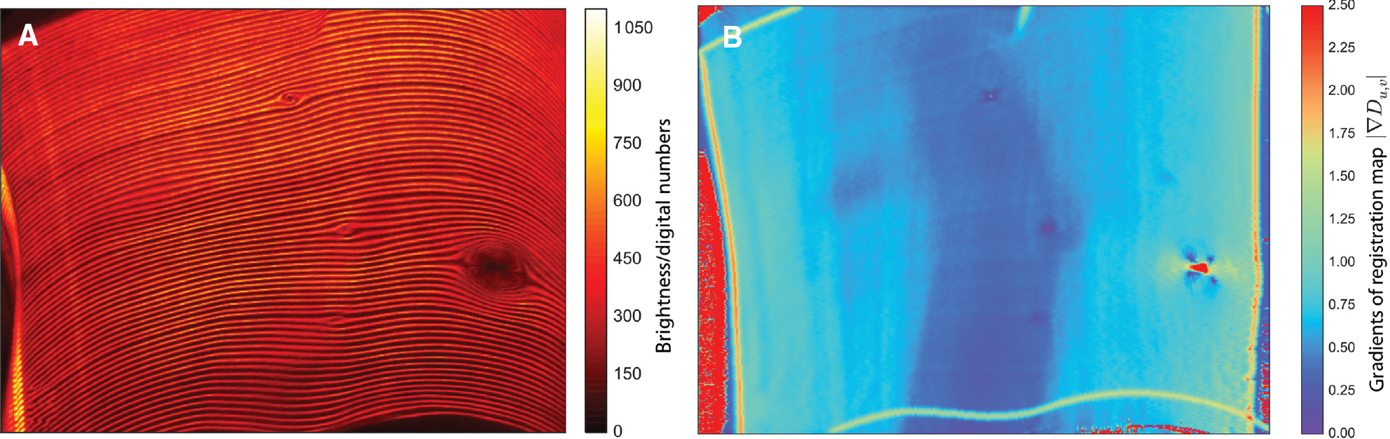 Figure 9: Results from a car body sheet measured with a scanning sensor. The images show a 300-mm×250 mm section of the surface. (A) Vertical-scan lines merged into a single image, defects are readily visible as distortions; (B) computed local gradients, where defects are clearly visible as minima or maxima in the gradient map.