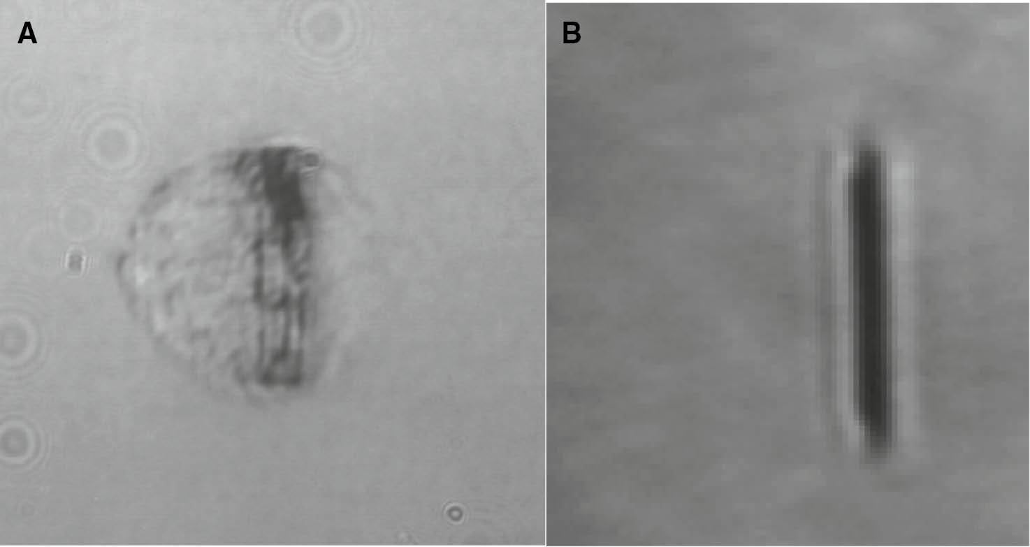 Figure 13: Side view shadowgrams of the targets after irradiation by different pre-pulses, (A) spherical target, (B) disk target.