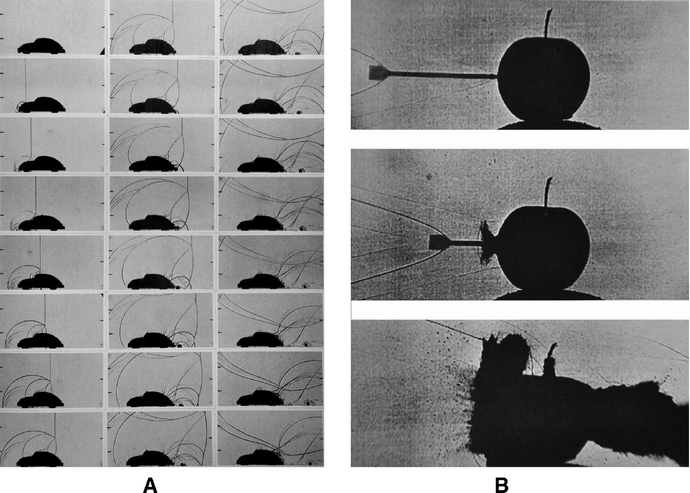 Figure 2: Visualization of the propagation of a planar shock wave over a VW beetle model (A) and the propagation of a kinetic projectile through an apple (B).