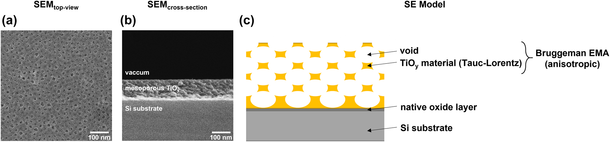Figure 1: 
Characterization and modeling approach of a mesoporous TiOy film calcined at 400 °C for 20 min in air.
(a) SEM top-view image indicating a mesoporous network at the outer surface area. (b) Cross-sectional SEM images show a uniform film thickness of about 130 nm. (c) Illustration of the used model for spectroscopic ellipsometry.
