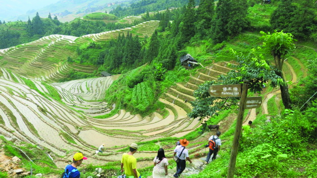Figure 1: Tourists pass “停车管 //Parking Lot” sign within the Longji Terrace ticketed tourist zone, Guangxi.