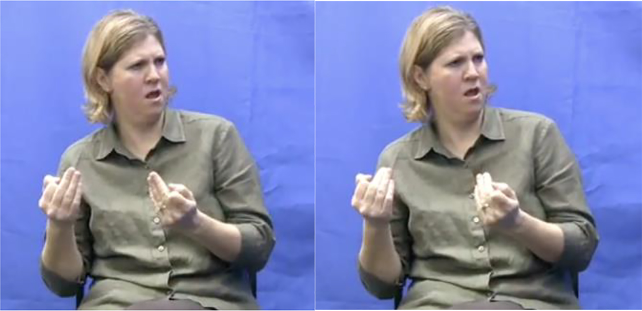 Figure 2: 
Signer (GW17, 00:02:03) demonstrating Newcastle sign for ‘car’.
