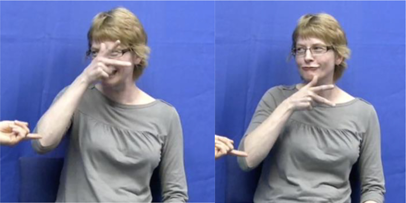 Figure 6: 
Signer demonstrating sign for ‘kitchen’.
