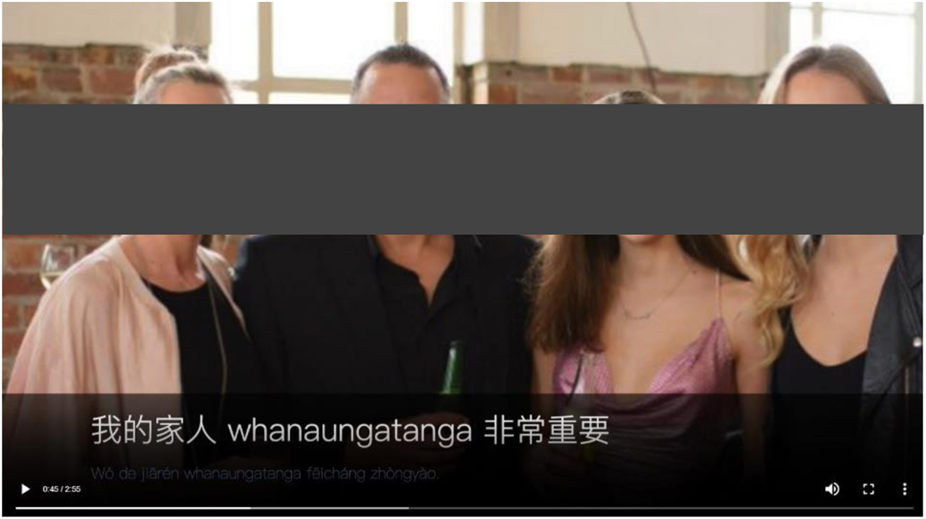 Figure 3:
Screenshot of a student’s translanguaging practice.