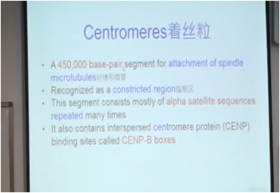 Figure 1:
Jerry providing Chinese translation to the thematic term.