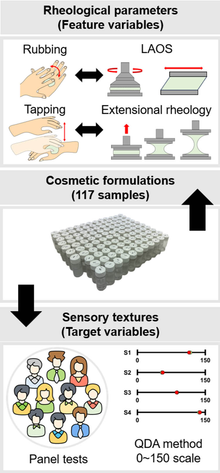 Figure 1 
                  Schematic diagrams for the preparation processes of rheological and panel-tested sensory texture.