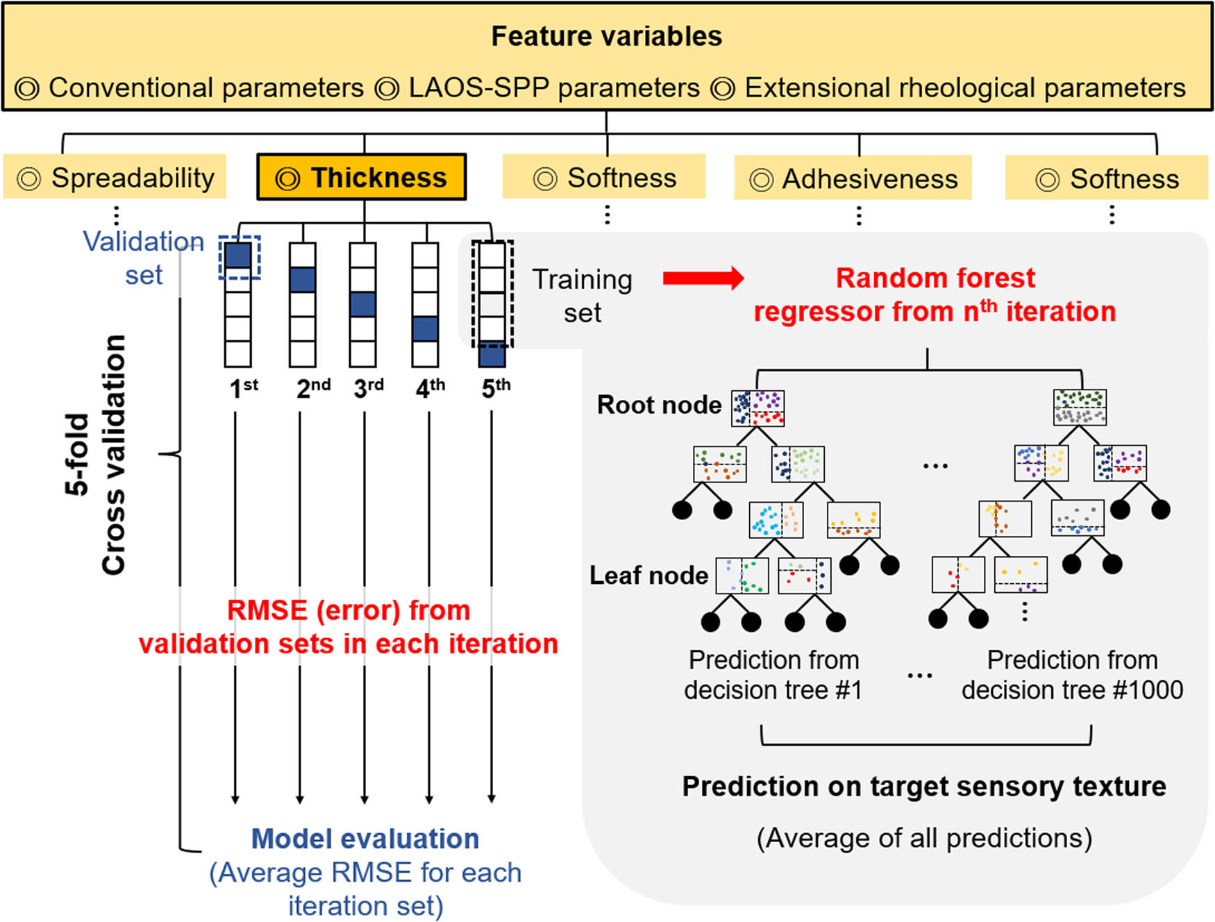 Figure 5 
               Schematic of the random forest regression algorithm used for predicting sensory texture.