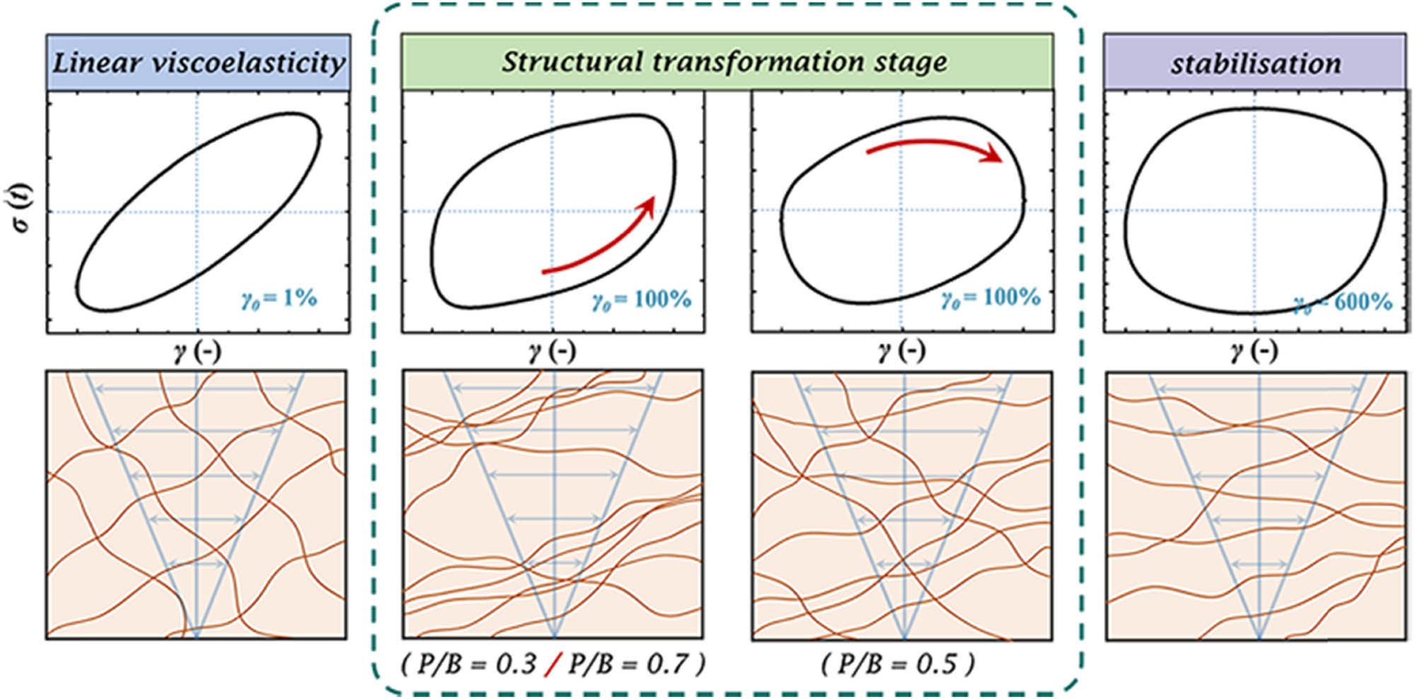 Figure 11
Responses of the internal structure to the applied strain at different plasticizer contents.