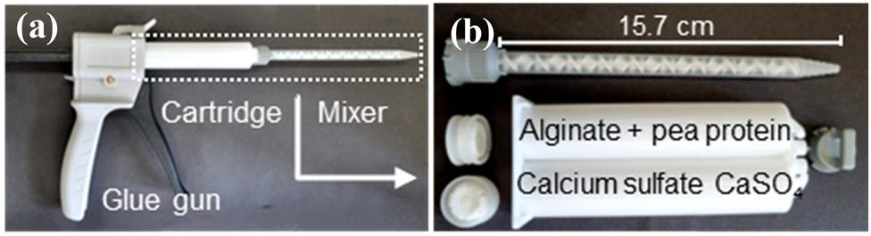 Teaser image from the article