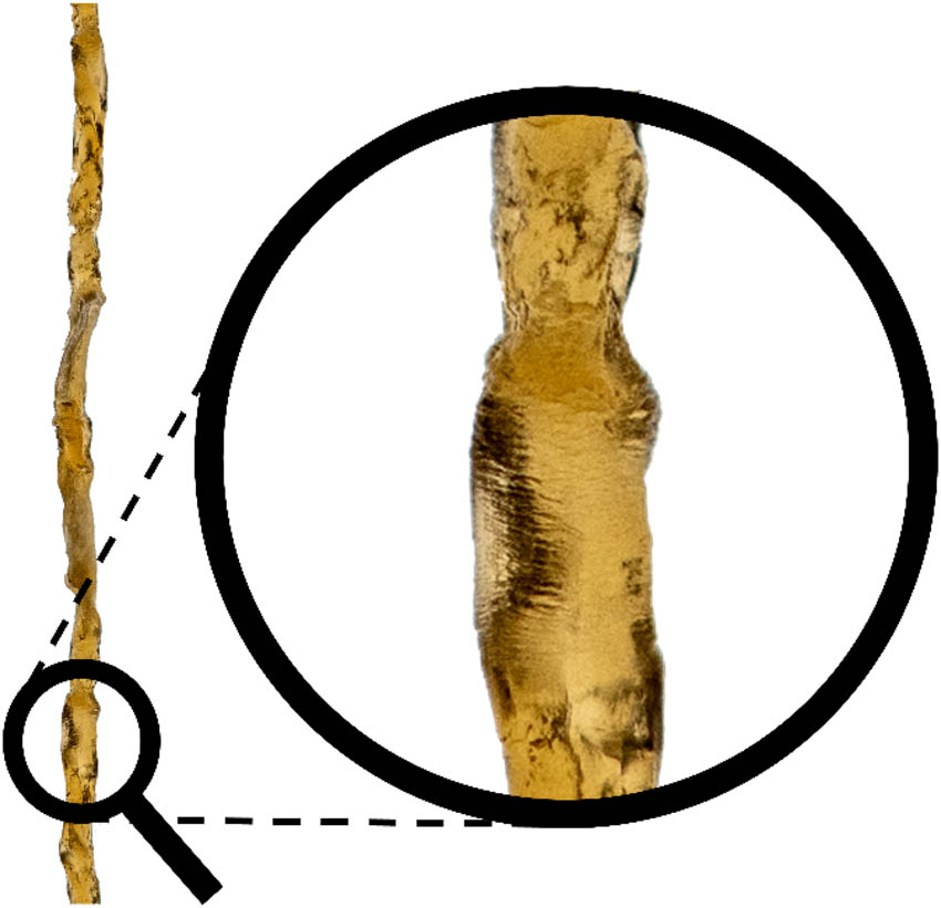 Teaser image from the article