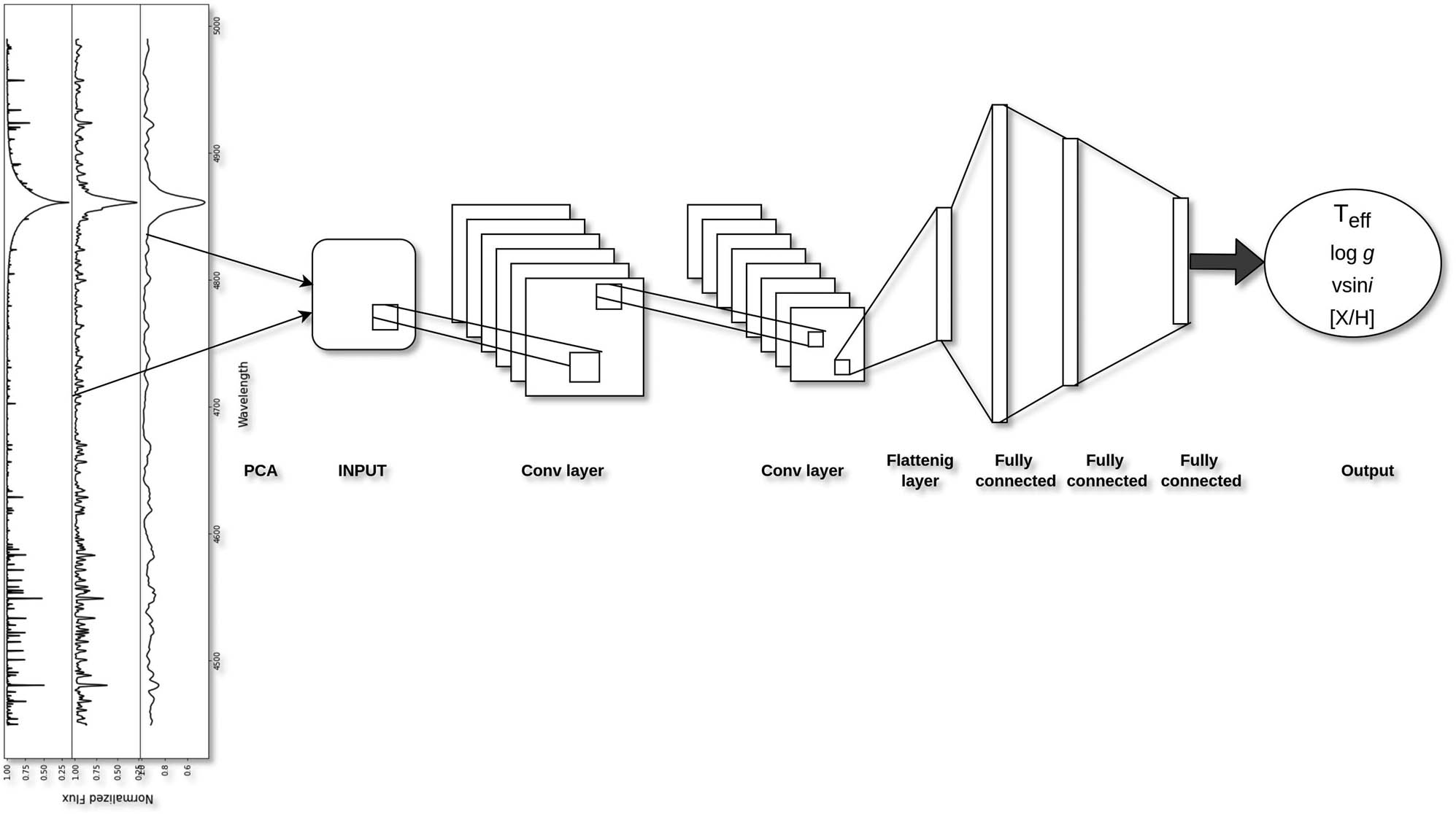 Figure 3 
                  CNN architecture used in this work. A PCA dimension reduction transforms the spectra into a matrix of input coefficient. This input passes through several convolutional layers and fully connected layers in order to train the data and predict the stellar parameters.
               