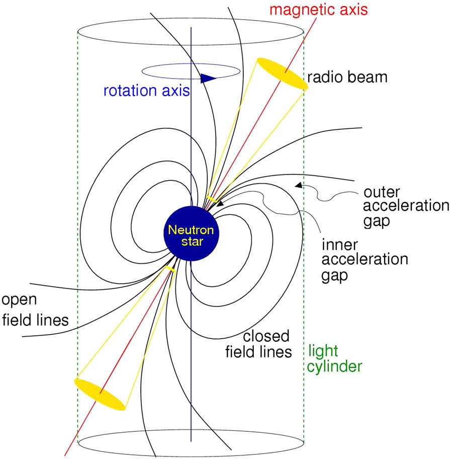 Figure 1 
               The lighthouse model shows a rapidly rotating central neutron star with a strong magnetic field, inclined to the rotation axis with radio emissions emanating from the magnetic poles. The beam of radiation at the magnetic poles gives rise to pulses as the star rotates due to the misalignment of the magnetic and spin axis (Lorimer and Kramer 2004).
            