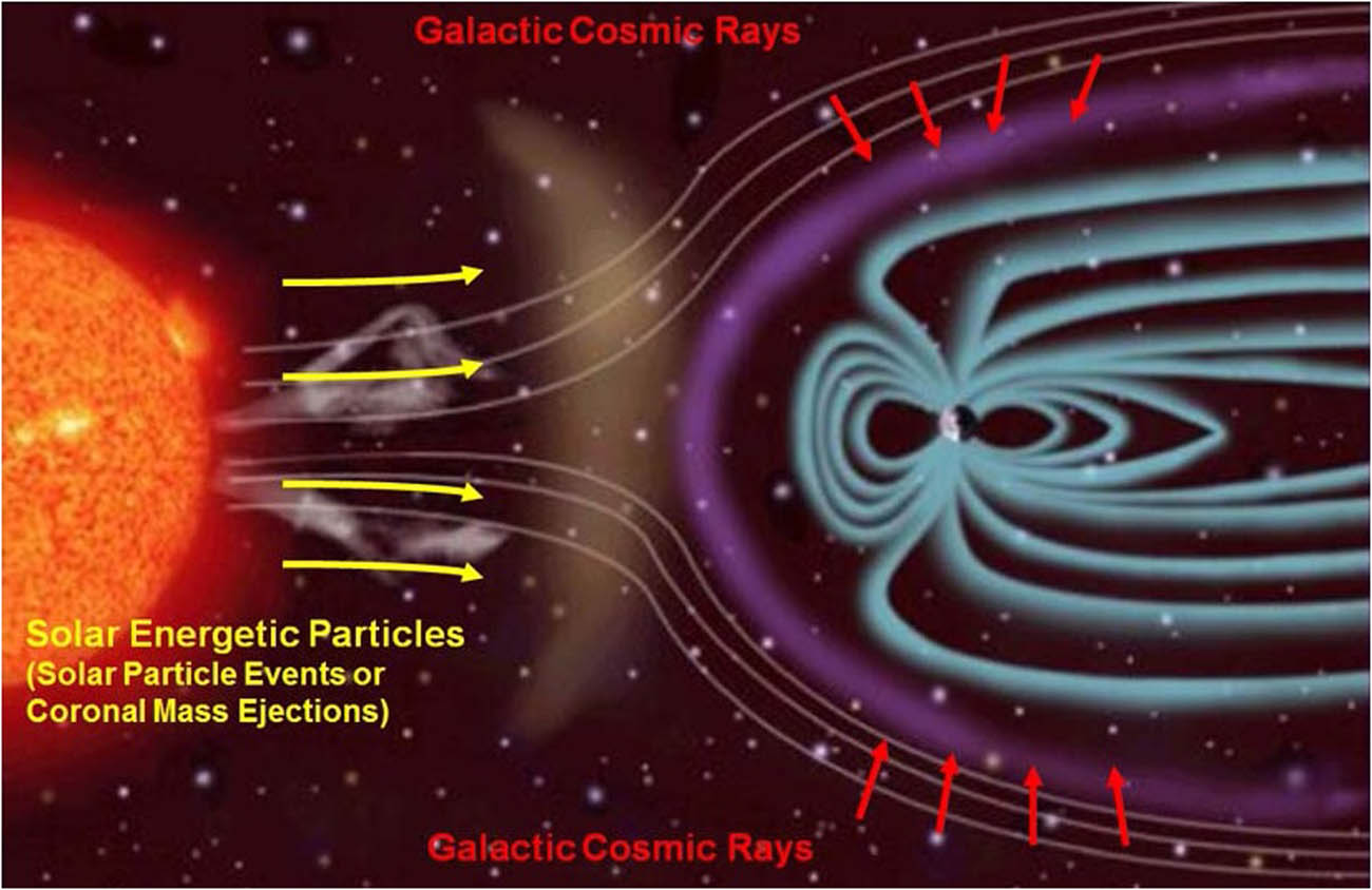 Figure 3
The two main radiation types are monitored by the radiation assessment detector and how the magnetic field around the Earth affects the radiation in near-Earth space. Figure courtesy of NASA/JPL-Caltech.