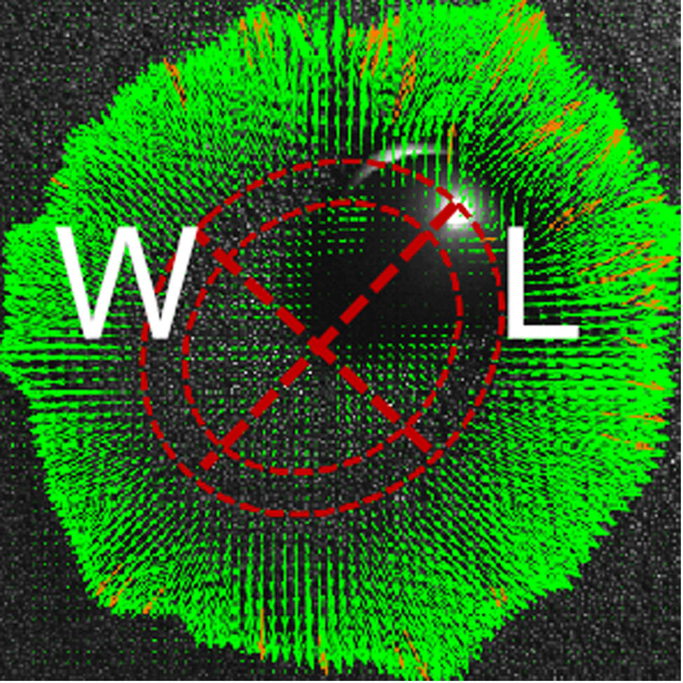 Figure 8 
                  Diagram illustrating the quasi-static region, where W represents the width of the quasi-static region, and L represents the length of the quasi-static region (0.11 mm/pixel).
               