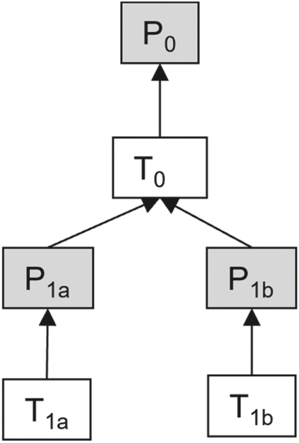 Figure 2: 
Complex relation between two theories (created by the author).
