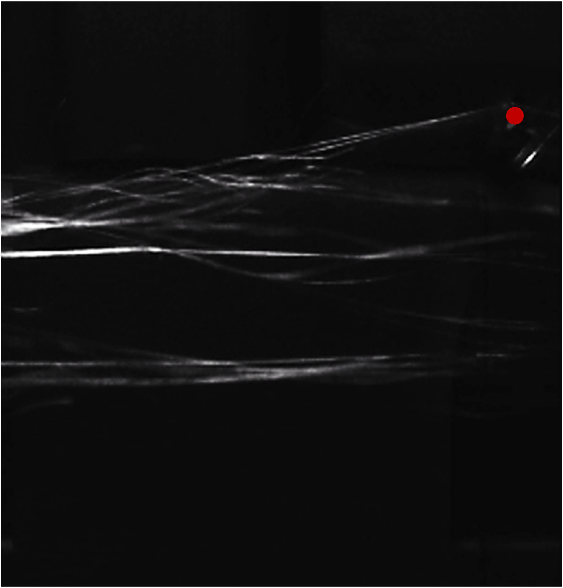 Figure 7 
               Picture of an unsuccessful yarn release due to too high yarn tension and friction on the pin (red dot): the filaments of the Aramid yarn are spread and do not move uniformly.
            