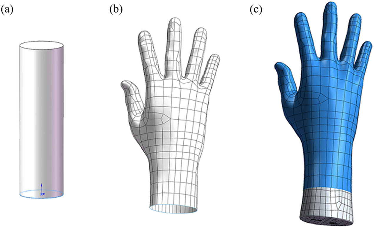 Figure 2
(a) The model of the cylinder, (b) the model of the glove, (c) the model of the glove–hand combination.