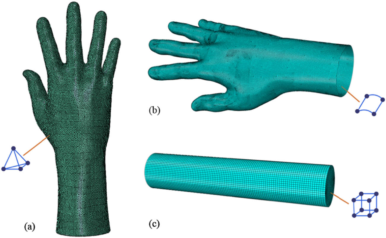 Figure 5
(a) The mesh of the hand, (b) the mesh of the glove, and (c) the mesh of the cylinder.