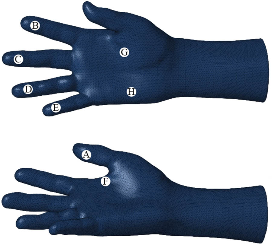 Figure 8
Location of pressure test points on the hand.