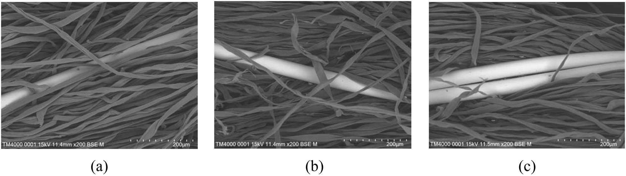 Figure 1
SEM image of composite yarn after parallel twisting. (a) 1:1 S-twisted, (b) 1:1 Z-twisted, and (c) 2:1 S-twisted.