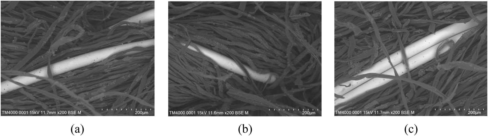 Figure 2
SEM image of fabric made from twisted composite yarn. (a) 1:1 S-twisted, (b) 1:1 Z-twisted, and (c) 2:1 S-twisted.
