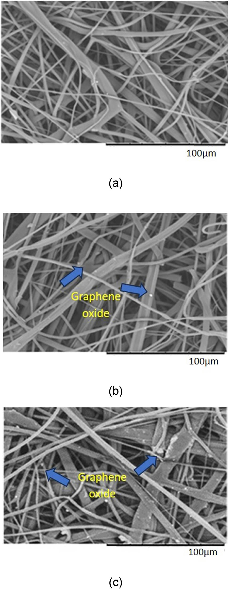 Figure 5
SEM images of (a) uncoated samples, (b) 0.01% GO-coated PP filter facemask fabric, and (c) 0.02% GO-coated PP filter facemask fabric.