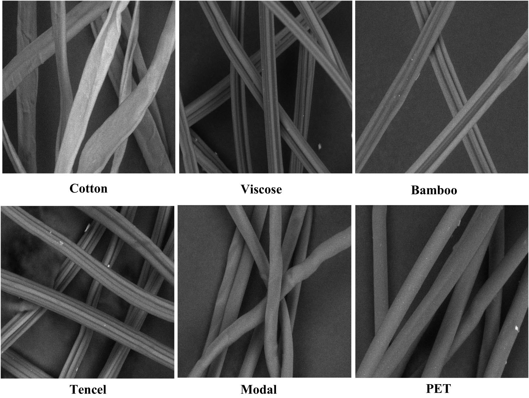 Figure 1
Longitudinal views of the used textile fibers.