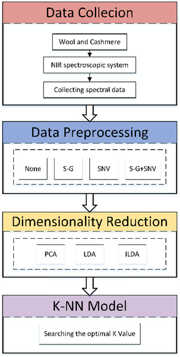 Figure 1
Flowchart of experimental design.