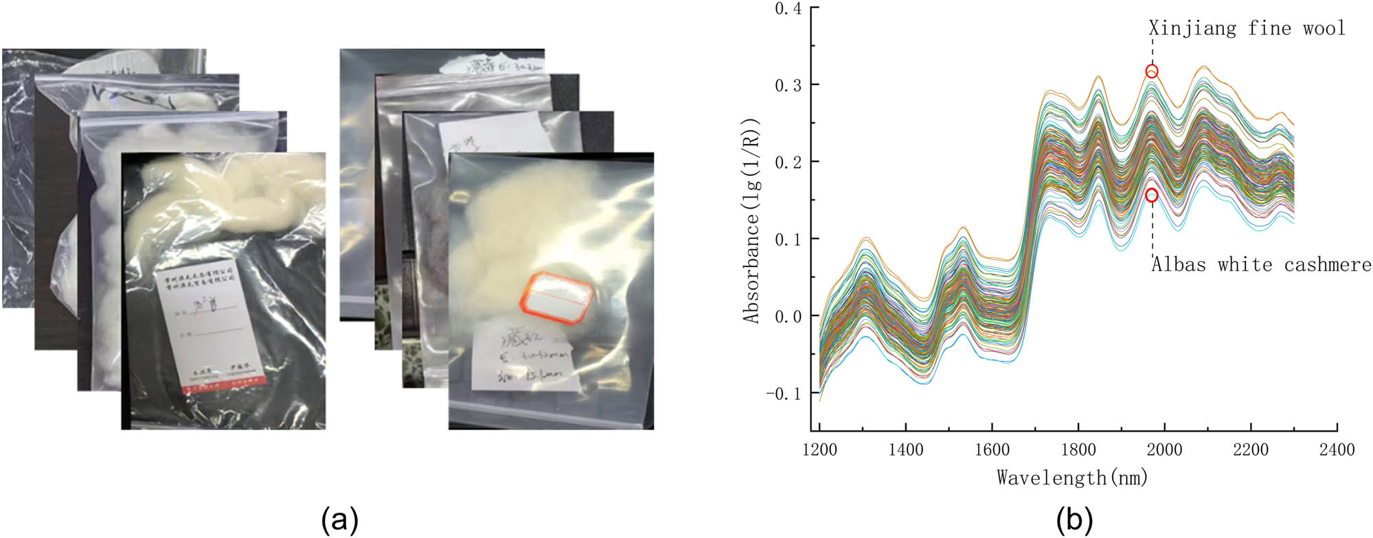 Figure 4
Cashmere wool sample and spectral data: (a) partial cashmere and wool samples and (b) NIR spectrum data.