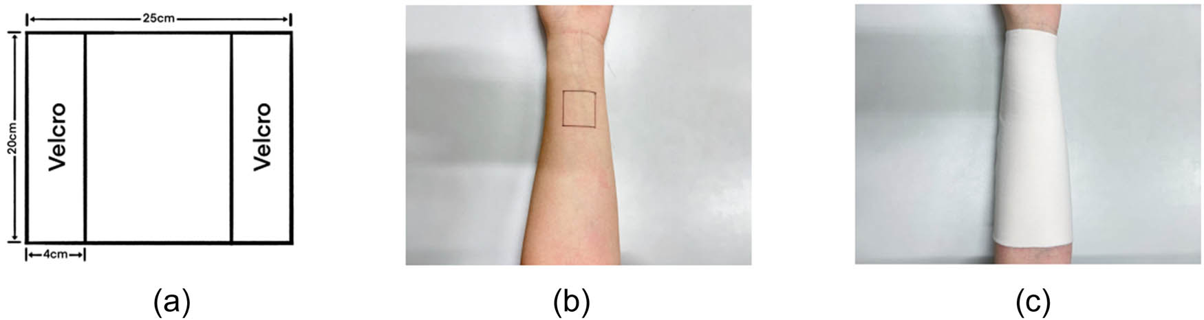 Figure 3
(a) Sample specification diagram, (b) marking area diagram, and (c) coating area diagram.