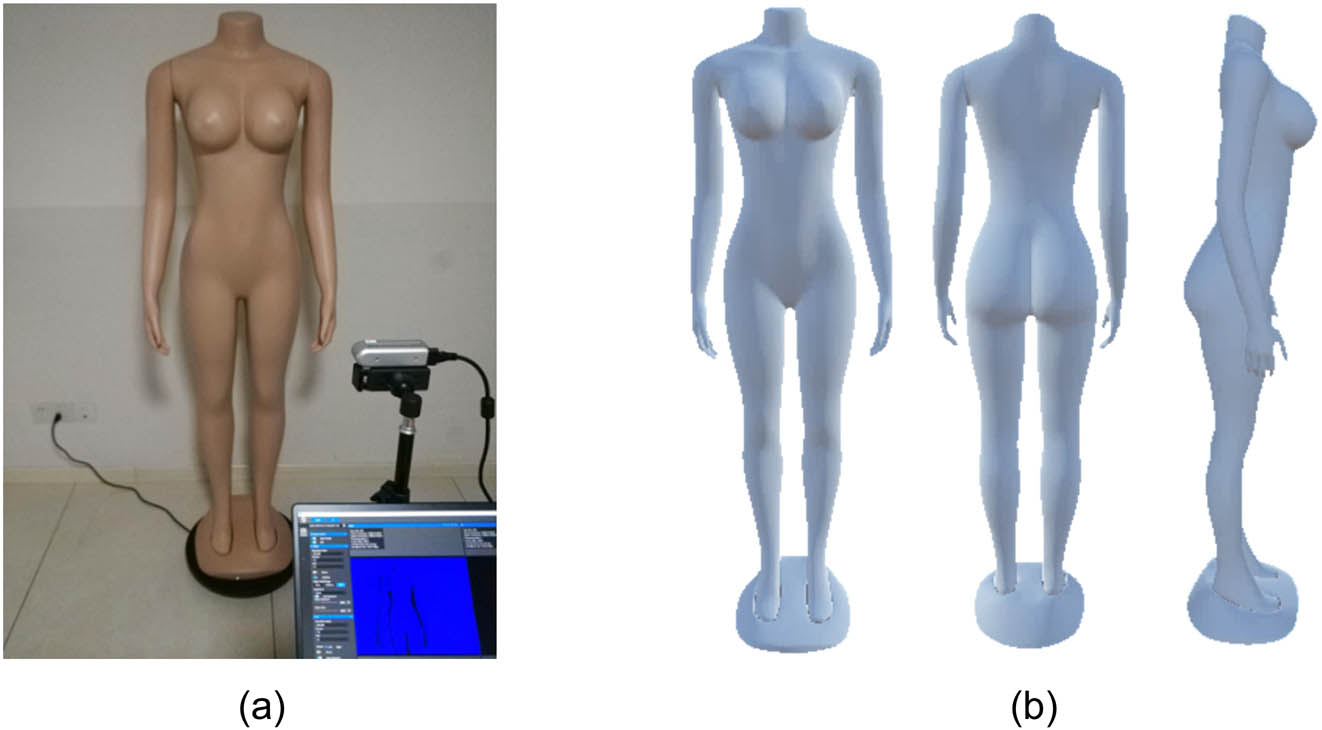 Figure 9 
               Three-dimensional body form. (a) Body scanning. (b) Body form. Note: (1) The depth camera utilized in this study is an Intel RealSense 435 device, and the processing of depth images takes the advantage of the Open3D pipelines. (2) The mannequin features the international standard size L, with a height of 170 cm, a bust size of 92 cm, and a hip size of 93 cm.
            
