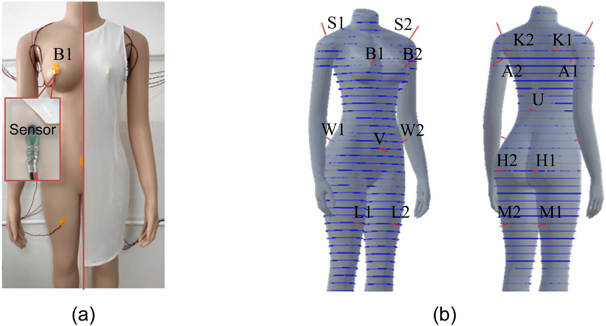 Figure 11 
               Pressure measuring and examining. (a) Measure points on the mannequin. (b) Corresponding locations in the slices. Note: FlexiForce A201-1 devices are used as the sensors measuring the actual pressure on the body. They are connected to an Arduino board which sends instant pressure data to a principal computer.
            