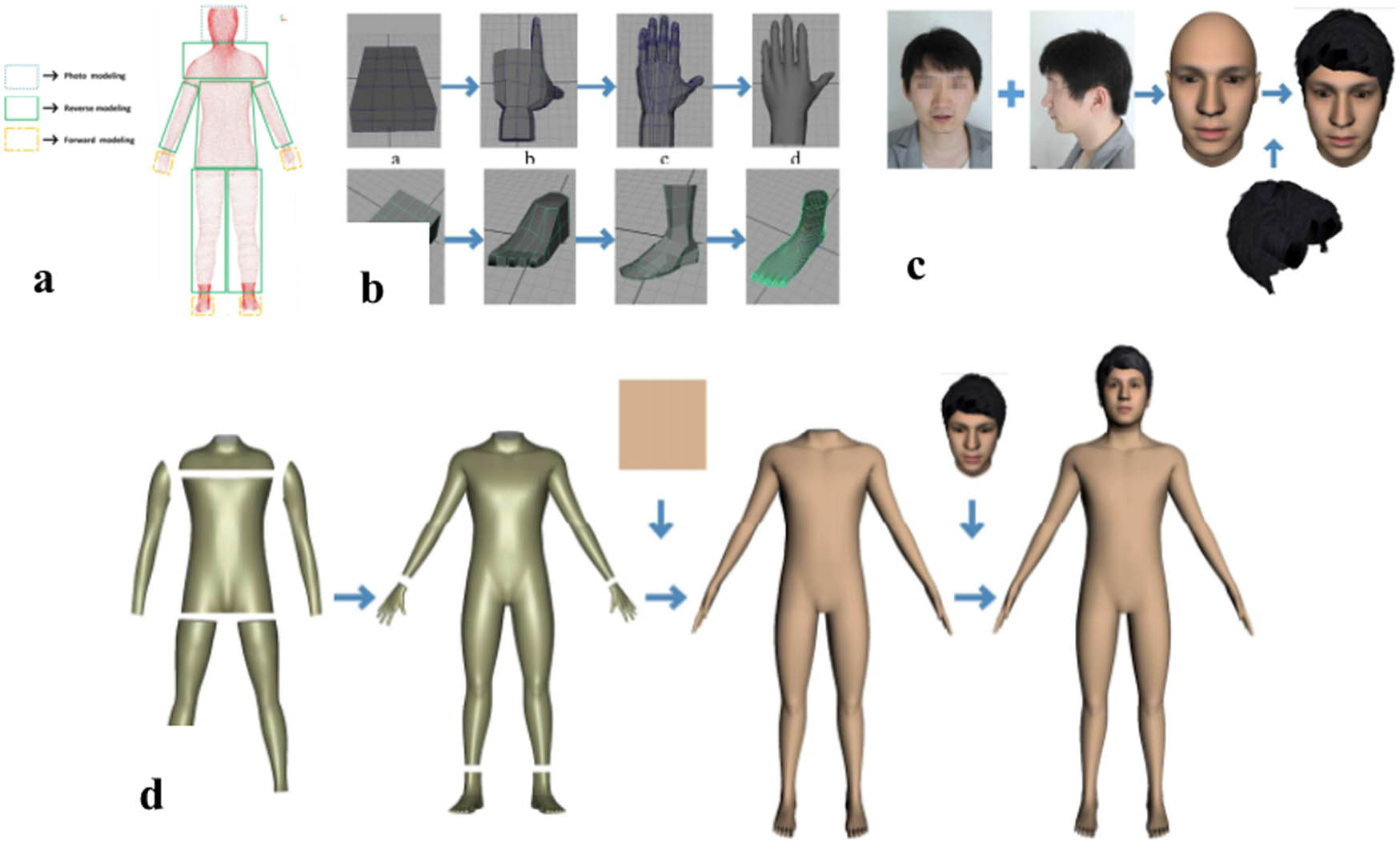 Figure 3 
                     MMM based on 3D body scanning including the process of a–d.
                  