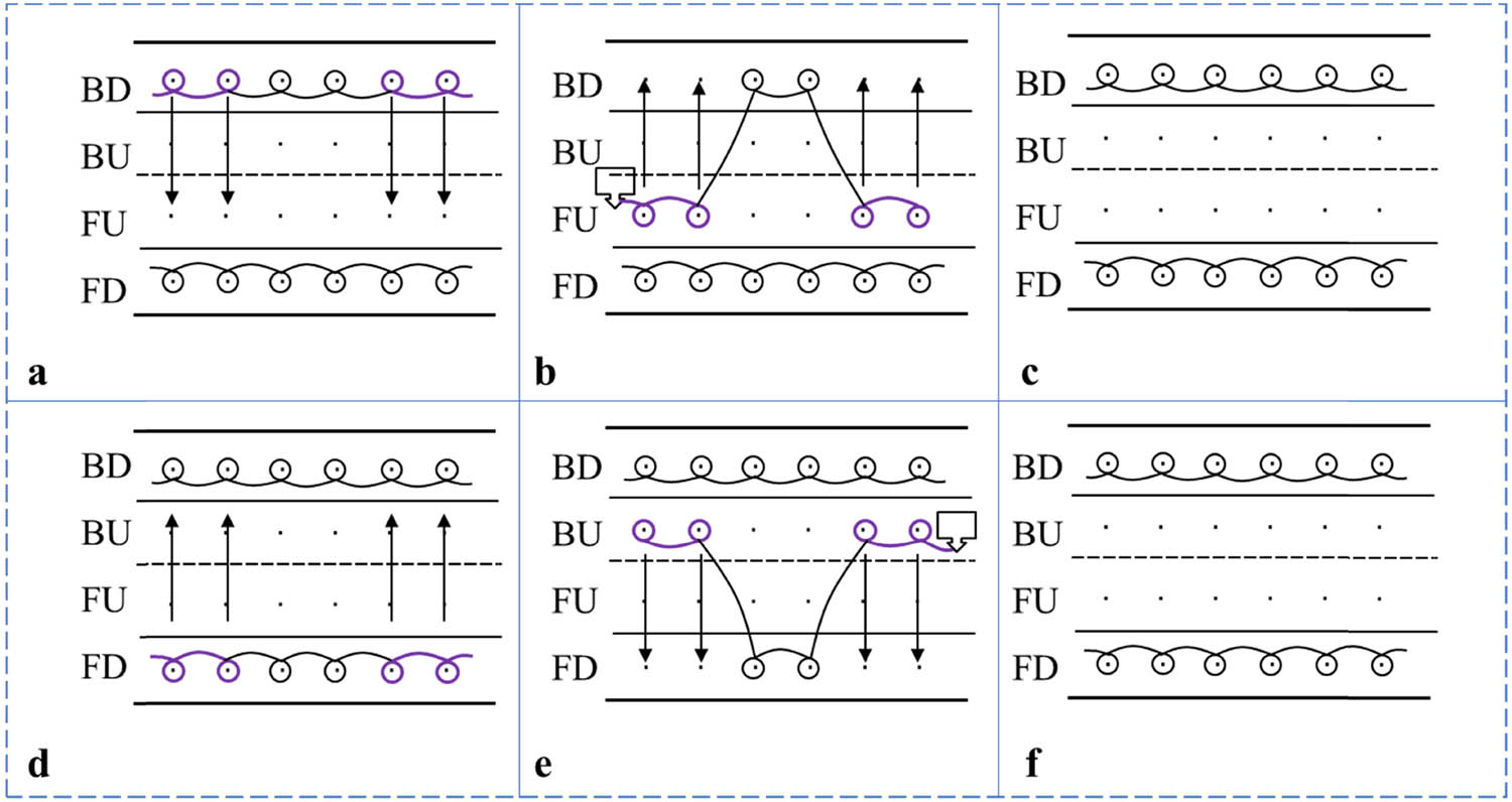 Figure 8 
                     Schematic diagram of 2 × 2 rib knit. (a) Step 1; (b) Step 2; (c) Step 3; (d) Step 4; (e) Step 5; (f) Step 6.
                  