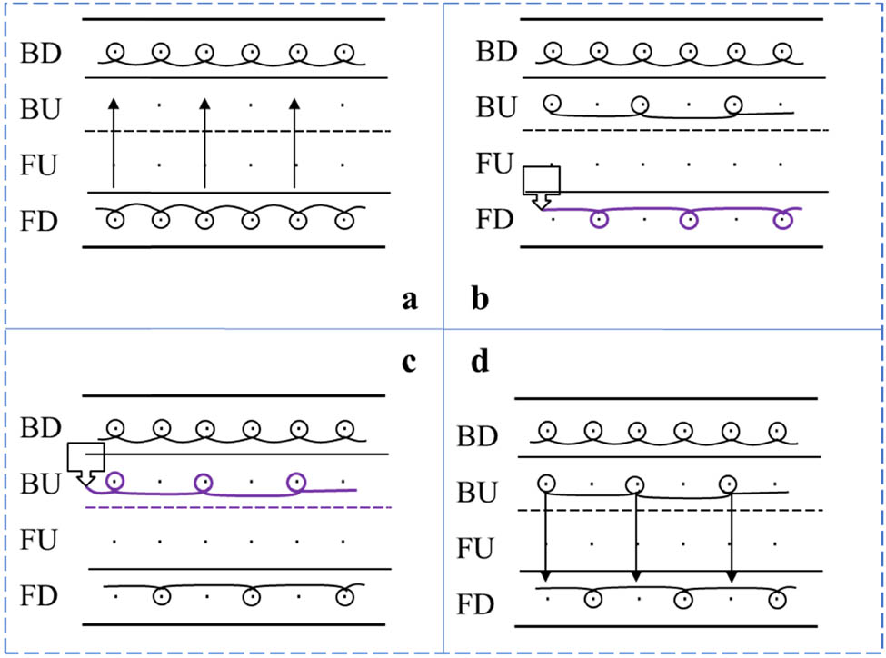 Figure 9 
                     Schematic diagram of tissue knitting of air layer of septum needle. (a) Step 1; (b) Step 2; (c) Step 3; (d) Step 4.
                  