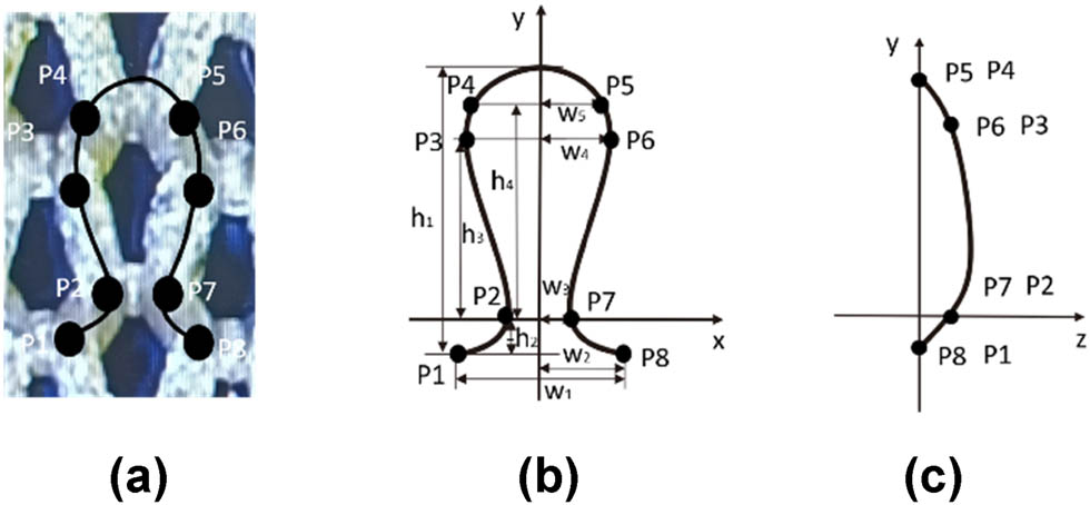 Figure 5 
               Basic loop model of (a) physical image, (b) front, and (c) side.
            
