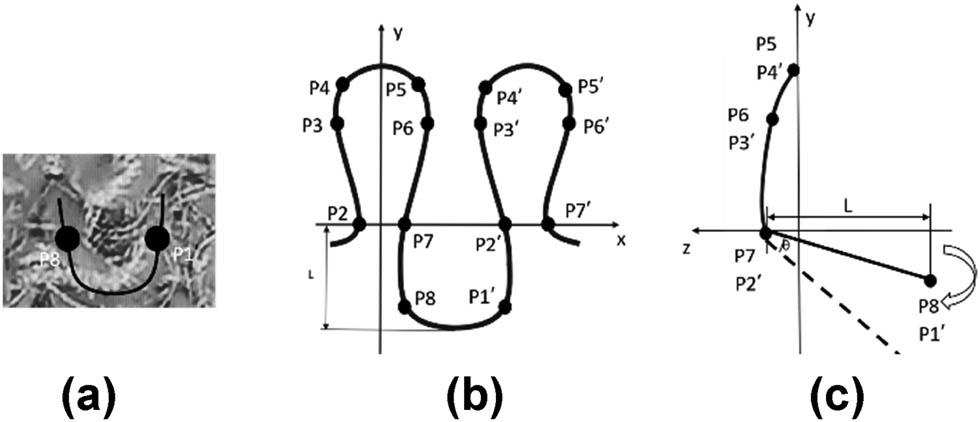 Figure 6 
               U-shaped plush loop model of (a) physical image, (b) front, and (c) side.
            