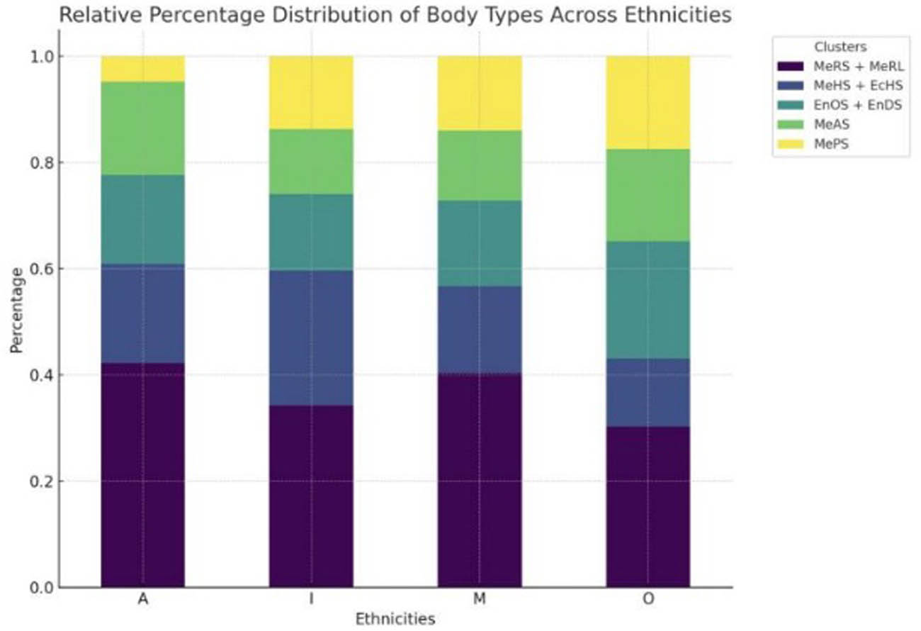 Figure 6
Stacked diagram of five typical body shapes in different ethnic groups.