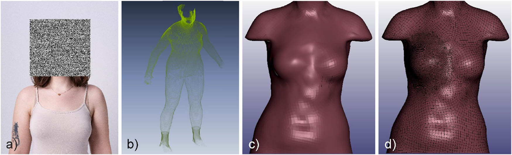 Figure 1
Numerical modeling of the female body: (a) view of the woman selected for the study, (b) 3D point cloud obtained after the scanning process, (c) geometric model, and (d) numerical model.