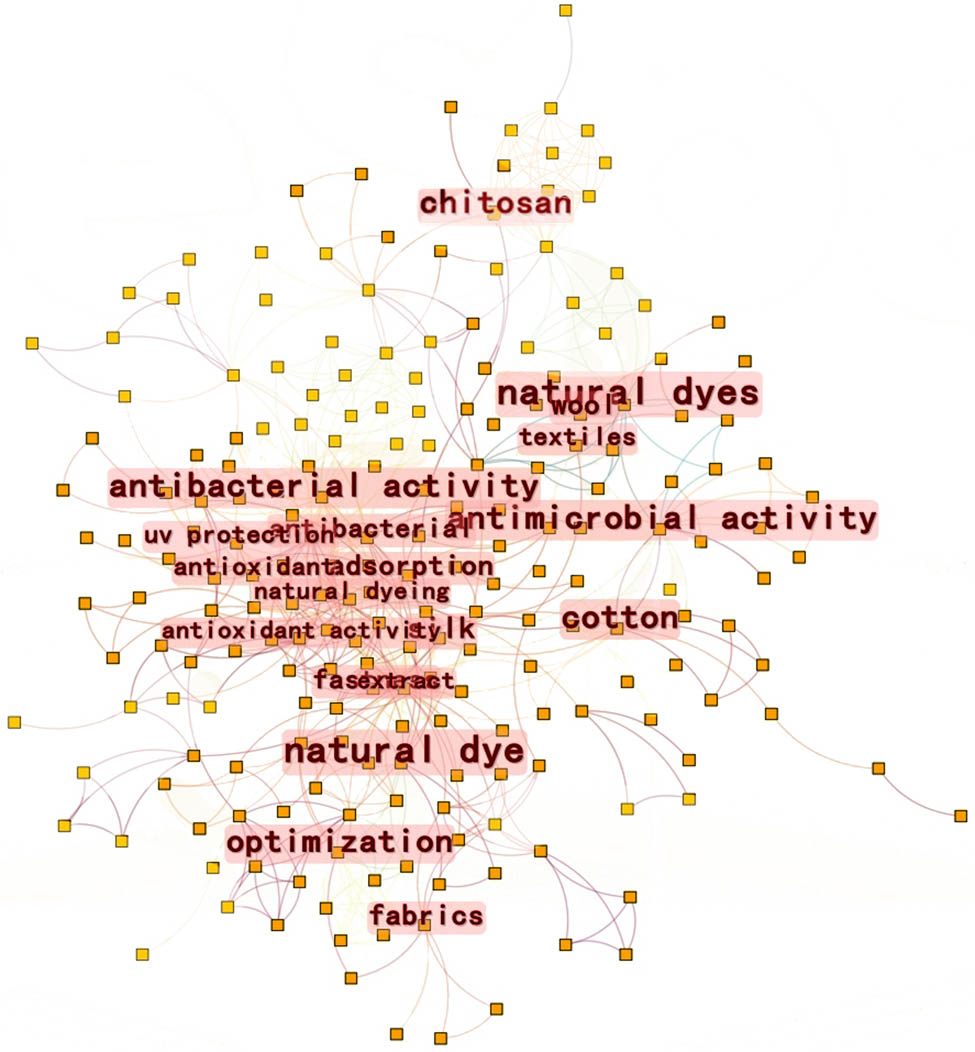Figure 3
Co-occurrence network of keywords.