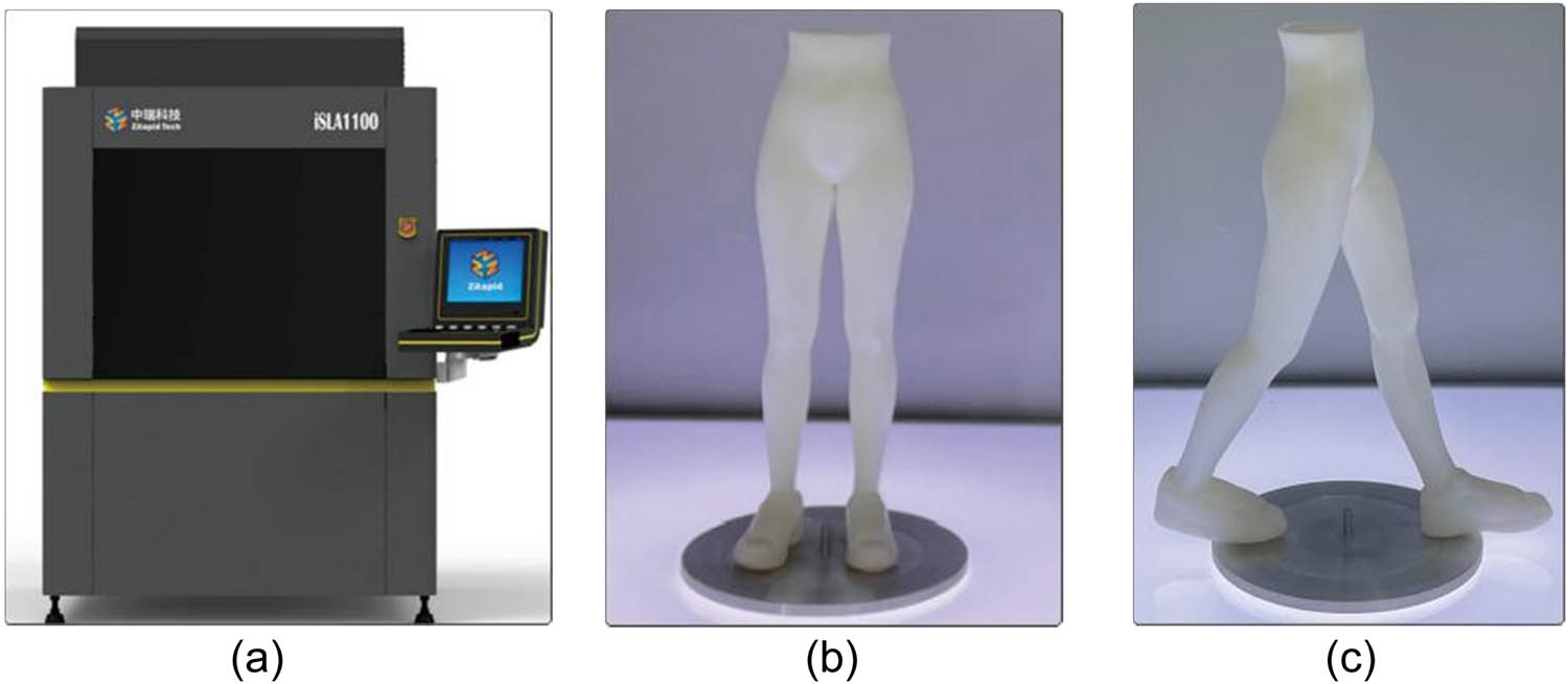 Figure 4 
                  3D-printed human body model. (a) iSLA1100 3D printer, (b) pose 1 model, and (c) pose 2 model.
               