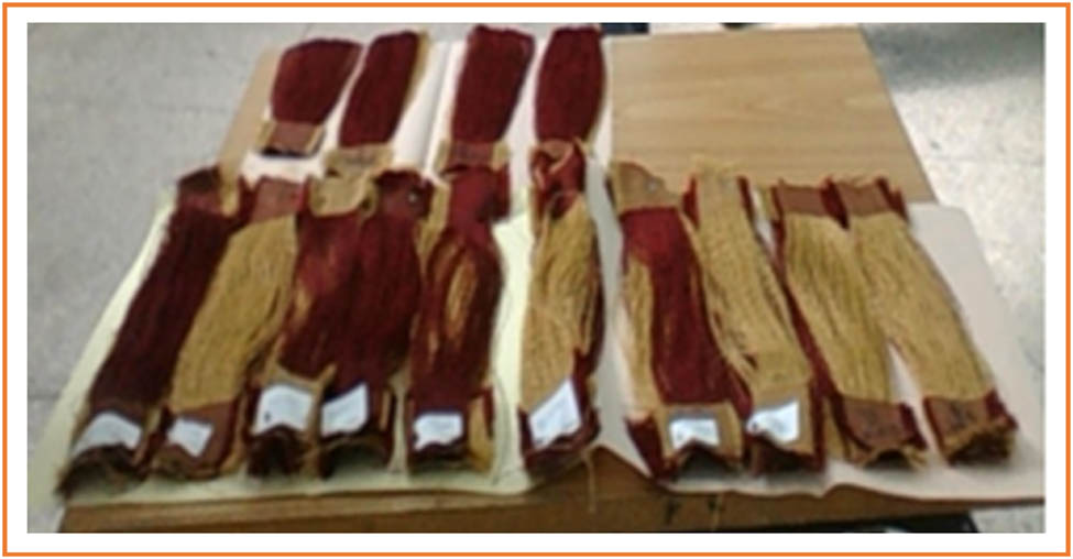 Figure 2
Warps and weft extracted from fabric.