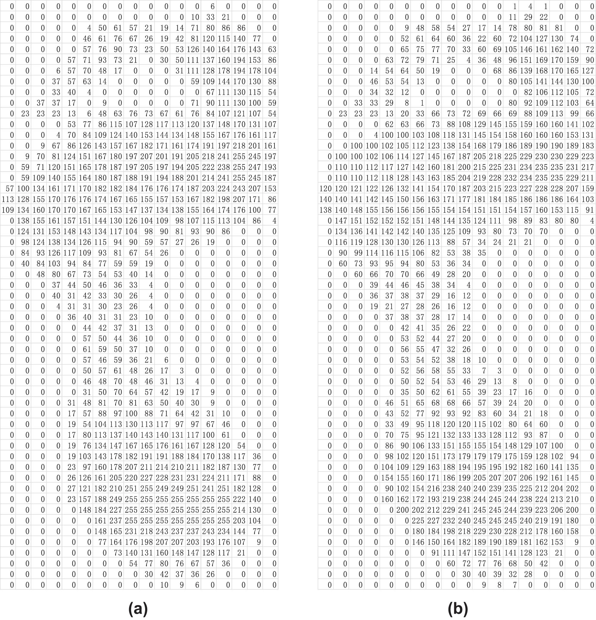 Figure 5
Data on force distribution before and after optimization. (a) Before optimization. (b) After optimization.