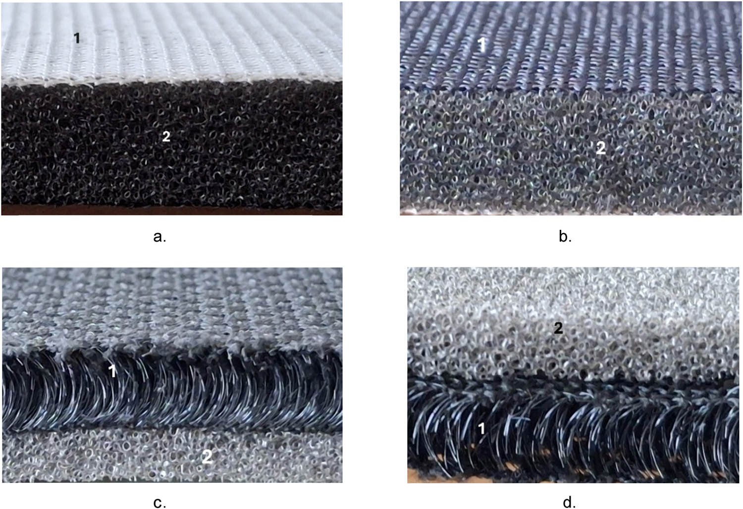 Figure 1
The cross-sectional images of the samples: (a and b) samples 1.1, 1.2, and 1.3 on the front and back: 1 – Locknit fabric and 2 – PU foam; (c and d) samples 2.1, 2.2, and 2.3. on the front and back: 1 – warp knitted spacer fabric and 2 – PU foam.