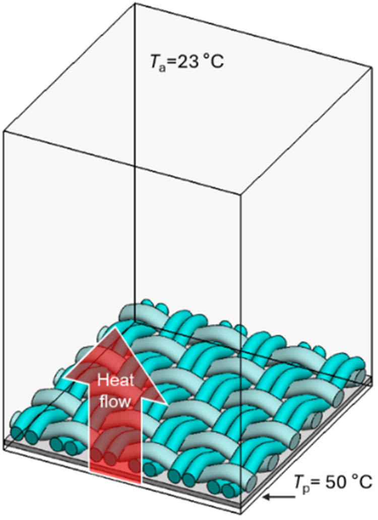 Figure 5
Initial conditions of heat transfer simulations inside computational domain.