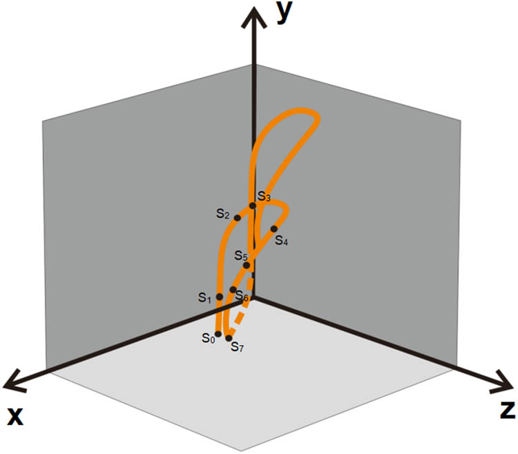 Figure 3
Pillar stitch loop model.