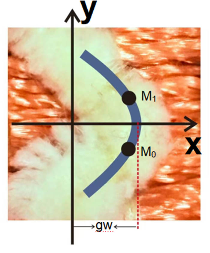 Figure 4
Physical diagram of weft-insertion loops.