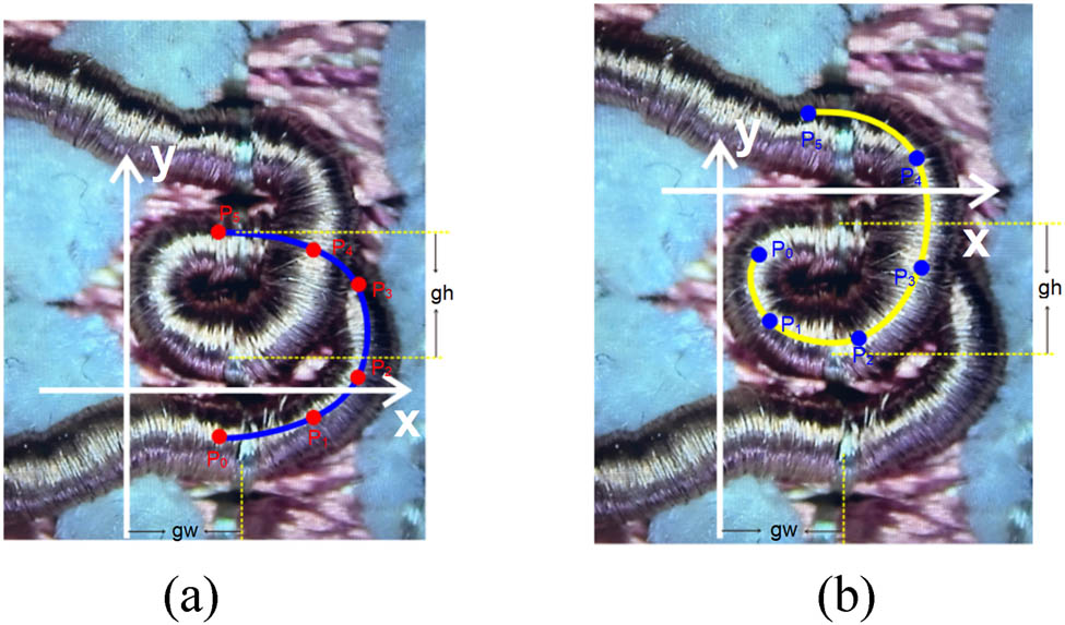 Figure 6
Physical diagram of open topping-on crochet fabric: (a) Lower loop structure and (b) upper loop structure.